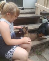 Puppies For Sale Ontario