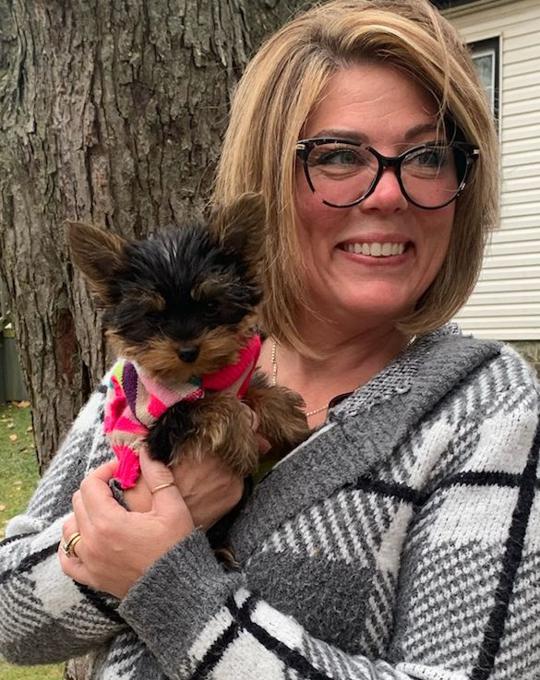 Yorkshire terrier