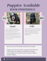 Springerdoodle