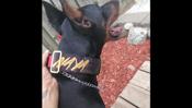 Doberman Pinchser