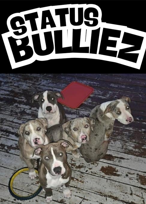 American bullies