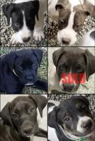 Cane Corso, Presa Canario, Lab, Collie, Brazilian Mastiff