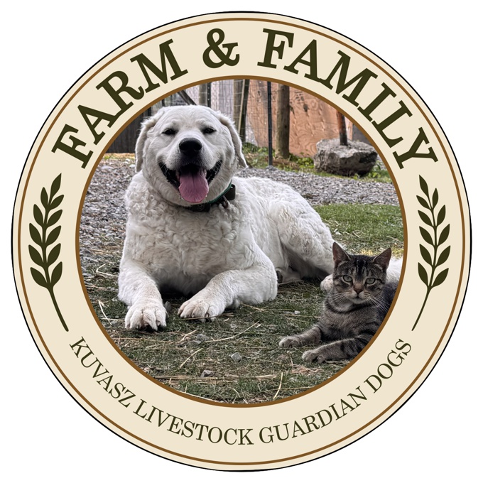 Kuvasz