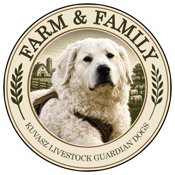 Kuvasz