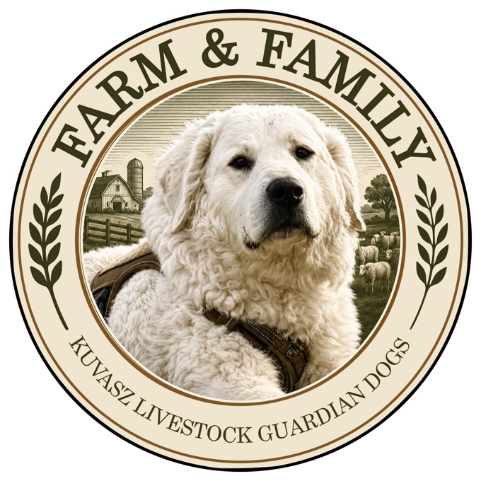 Kuvasz